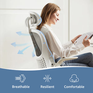 Posture Pro Ergonomic Desk Chair